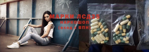 шишки Арсеньев