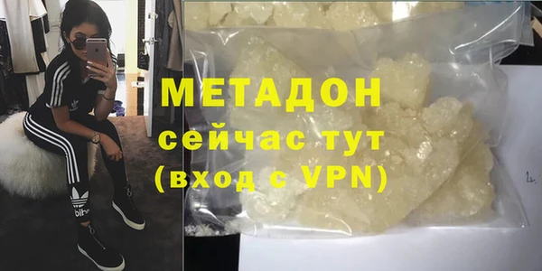 шишки Арсеньев