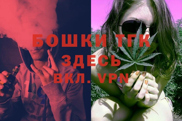 шишки Арсеньев