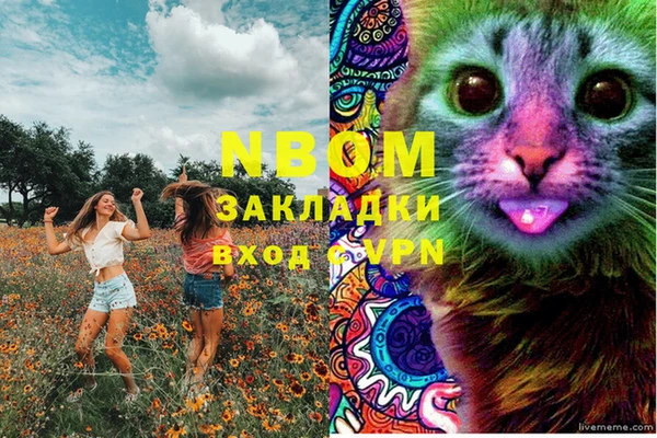 шишки Арсеньев