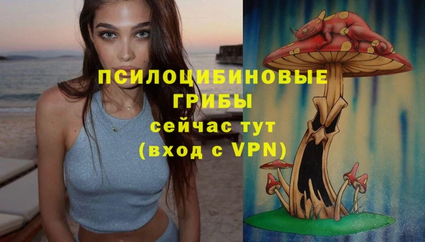 прущая мука Армянск