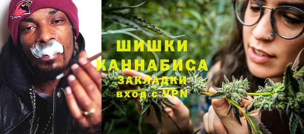 шишки Арсеньев