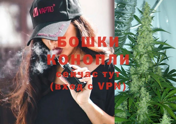 шишки Арсеньев