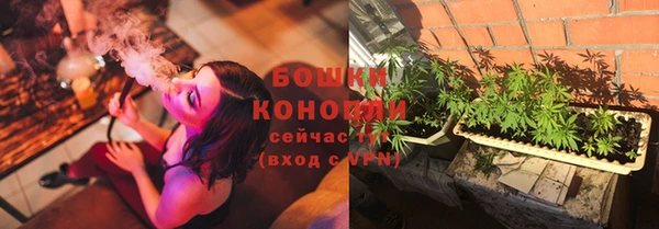 шишки Арсеньев