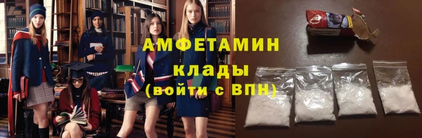 шишки Арсеньев